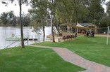 Riverside Holiday Park Blanchetown - Surfers Paradise Gold Coast 3