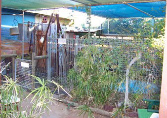 Safari Lodge Motel - Surfers Paradise Gold Coast 1