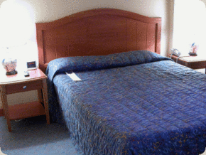 Diana Plaza Hotel - Surfers Paradise Gold Coast 3