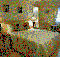 Fern Cottage Bed And Breakfast - Surfers Paradise Gold Coast