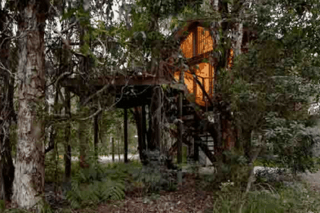 Wanderers Retreat Port Stephens - Surfers Paradise Gold Coast