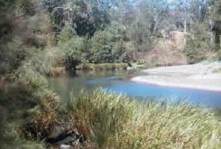 Toms Creek Retreat - Surfers Paradise Gold Coast 4