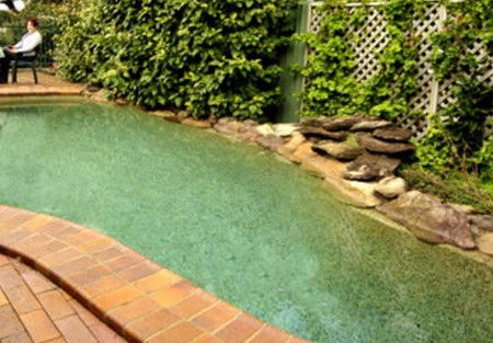 Newcomen Bed And Breakfast - Surfers Paradise Gold Coast 2