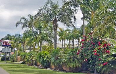 Forster Palms Motel - Surfers Paradise Gold Coast 2
