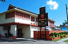 Comfort Inn The Rose - Surfers Paradise Gold Coast 1