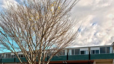 St Helens Bayside Inn - Surfers Paradise Gold Coast 1