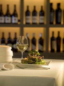 The Louise - Surfers Paradise Gold Coast 0