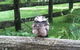 Milton Park - thumb 0
