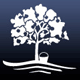 Tilse Building - Hunter Valley Pty Ltd - Surfers Paradise Gold Coast 1
