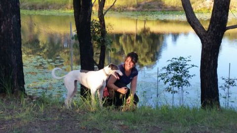 Wingham Pet Motel - Surfers Paradise Gold Coast 2