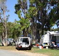 Elliston Caravan Park - Surfers Paradise Gold Coast