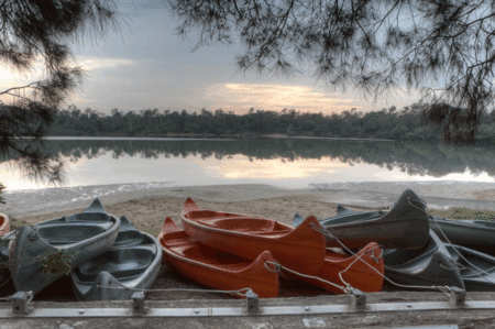 Boambee Bay Resort - thumb 5
