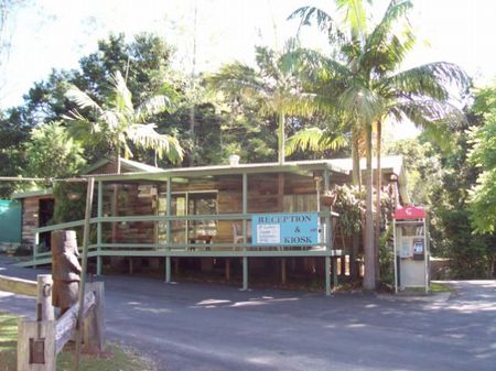 Mount Warning Rainforest Park - Surfers Paradise Gold Coast 1