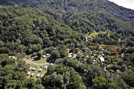 Mount Warning Rainforest Park - Surfers Paradise Gold Coast 3