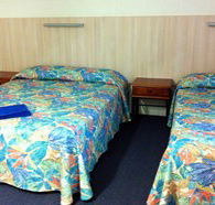 Mango Tree Motel - Surfers Paradise Gold Coast