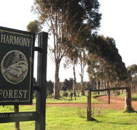 Harmony Forest - Surfers Paradise Gold Coast