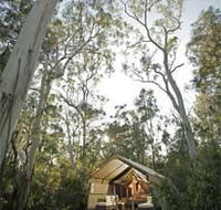 Paperbark Camp - Surfers Paradise Gold Coast
