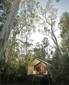 Paperbark Camp - Surfers Paradise Gold Coast 0