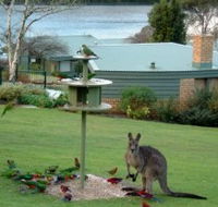 Gipsy Point Lakeside - Surfers Paradise Gold Coast