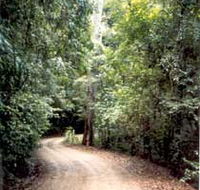 Mt Glorious Getaway Cottages And Conference Centre - Surfers Paradise Gold Coast