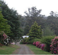 Mountain Rivers Lodge - Surfers Paradise Gold Coast
