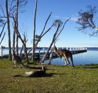 Waterfront Retreat At Wattle Point - Surfers Paradise Gold Coast