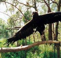 Curlew Hill Sanctuary - Surfers Paradise Gold Coast