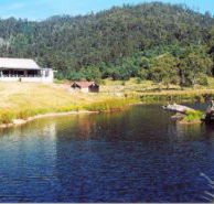 Millybrook Lodge - Surfers Paradise Gold Coast