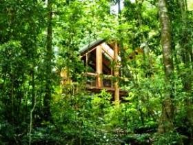 Fur'N'Feathers Rainforest Tree Houses - Surfers Paradise Gold Coast 0