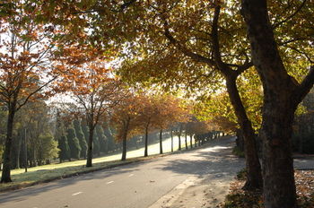 Fairmont Resort Blue Mountains MGallery By Sofitel - Surfers Paradise Gold Coast 30