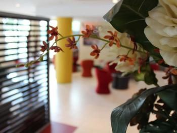 Ibis Newcastle - Surfers Paradise Gold Coast 24
