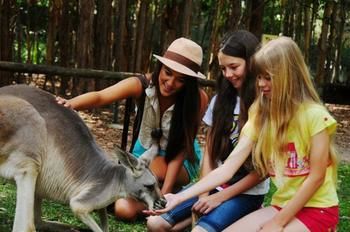 Pacific Horizons Resort - Surfers Paradise Gold Coast 23