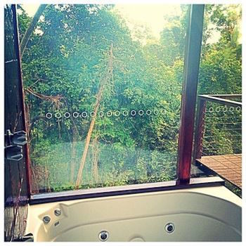 Kondalilla Eco Resort - Surfers Paradise Gold Coast 10
