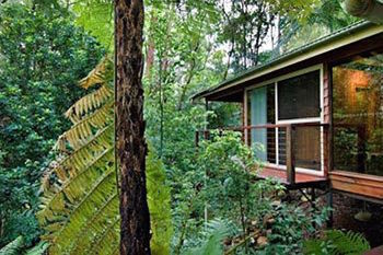 Kondalilla Eco Resort - Surfers Paradise Gold Coast 23