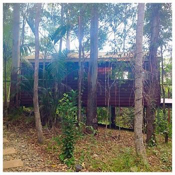 Kondalilla Eco Resort - Surfers Paradise Gold Coast 32