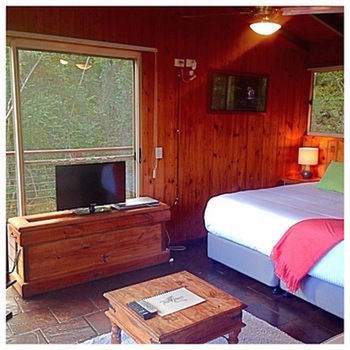 Kondalilla Eco Resort - Surfers Paradise Gold Coast 50