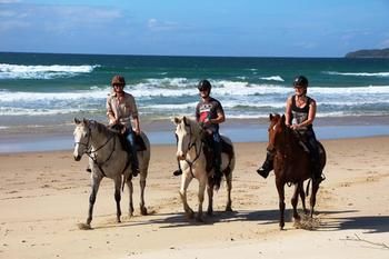 Sunset Cove Noosa - Surfers Paradise Gold Coast 24