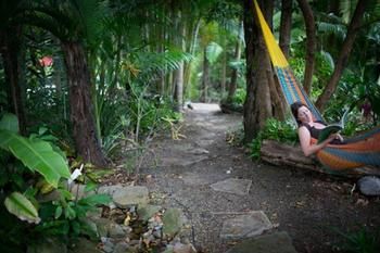Noosa Valley Manor B&B Retreat - Surfers Paradise Gold Coast 4