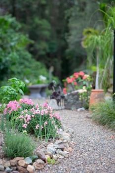 Noosa Valley Manor B&B Retreat - Surfers Paradise Gold Coast 12