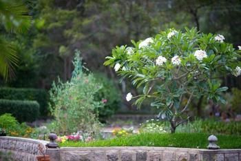 Noosa Valley Manor B&B Retreat - Surfers Paradise Gold Coast 13