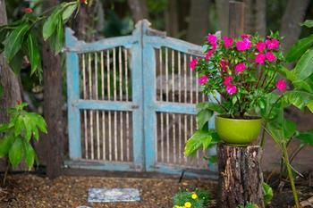 Noosa Valley Manor B&B Retreat - Surfers Paradise Gold Coast 30