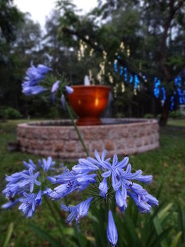 Noosa Valley Manor B&B Retreat - Surfers Paradise Gold Coast 34