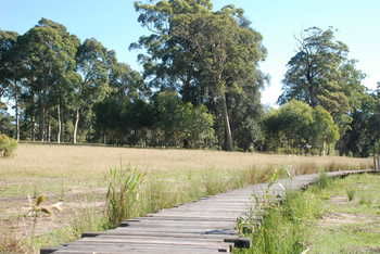 Worrowing At Jervis Bay - Surfers Paradise Gold Coast 47
