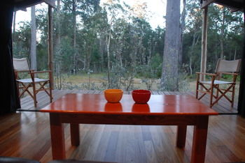 Worrowing At Jervis Bay - Surfers Paradise Gold Coast 50