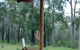 Worrowing At Jervis Bay - thumb 77