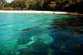 Worrowing At Jervis Bay - Surfers Paradise Gold Coast 98