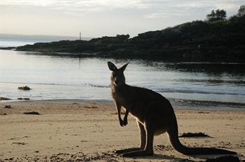 Worrowing At Jervis Bay - Surfers Paradise Gold Coast 35