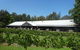 Casuarina Estate - thumb 6