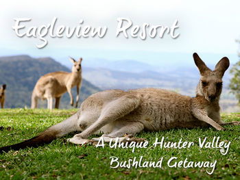 Eagleview Resort - Surfers Paradise Gold Coast 45