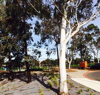 Box Hill Studios at Canterbury Gardens - Surfers Paradise Gold Coast